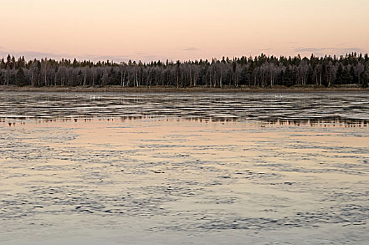 瑞典,河景,秋天,霜,黎明