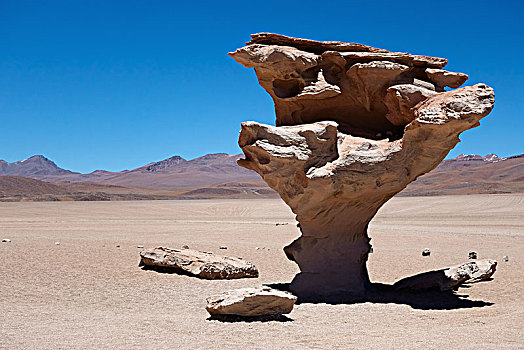 岩石构造,石头,树,动物,高原,玻利维亚,南美