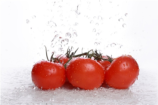 西红柿,藤蔓