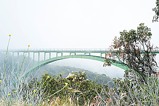 桥,圣芭芭拉,加利福尼亚,美国