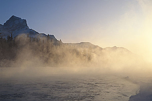 蒸汽,上升,弓河,寒冷,早晨,加拿大,艾伯塔省