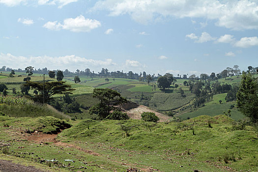 风景,大捆,山,埃塞俄比亚
