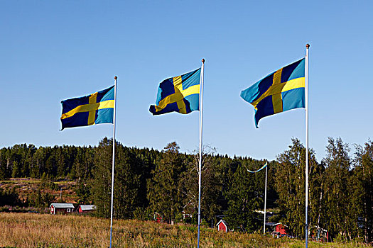 瑞典,旗帜,上方,乡村风光