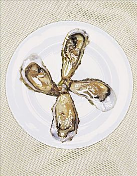 盘子,牡蛎