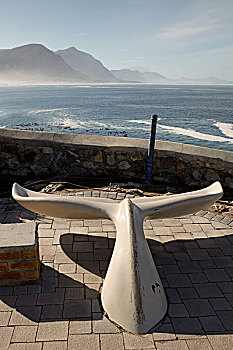风景,俯视,湾,南非