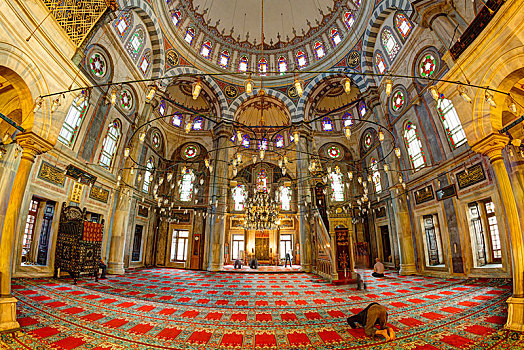 清真寺,郁金香,历史,城镇中心,伊斯坦布尔,欧洲,省,土耳其
