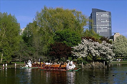 游船,河,波士顿公共公园,波士顿,马萨诸塞,美国