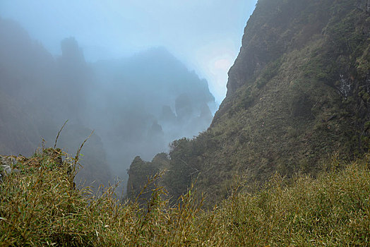 神农架,神农顶,风景,景点,旅游,高山,瀑布,河流,神秘,树木,植被,石头,鄂西,云海,峡谷,壮观