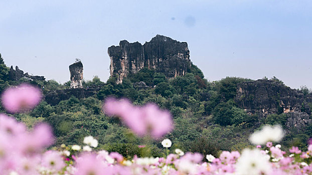 石林,自然,风景区