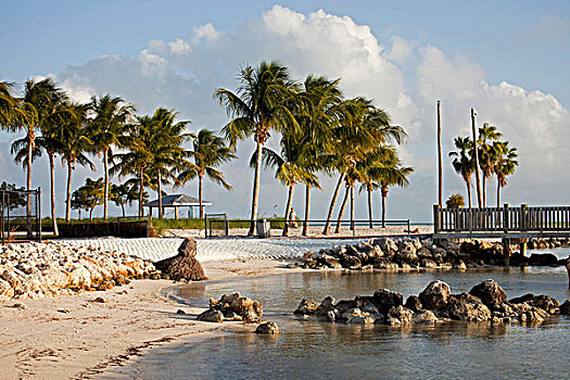 沙滩,阔边帽,海滩,马拉松,佛罗里达礁岛群,佛罗里达,美国