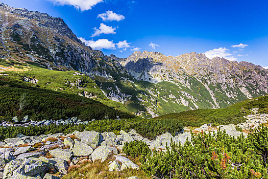 风景,山,徒步旅行,波兰,欧洲