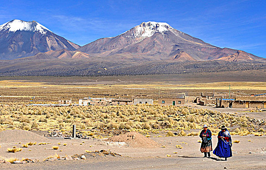 玻利维亚,南美,高原,两个,火山,雪,后面,乡村,旅游