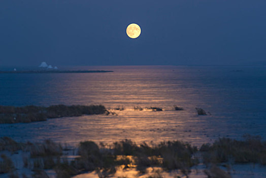 兴凯湖明月