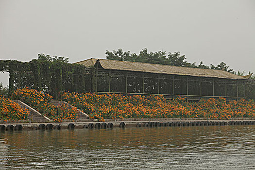 泗洪湿地公园风光