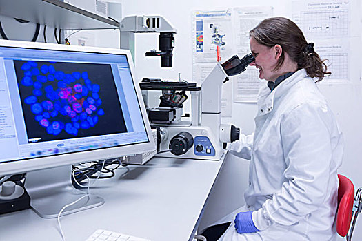 癌症研究,实验室,女性,科学家,学习,细胞,电子,显微镜