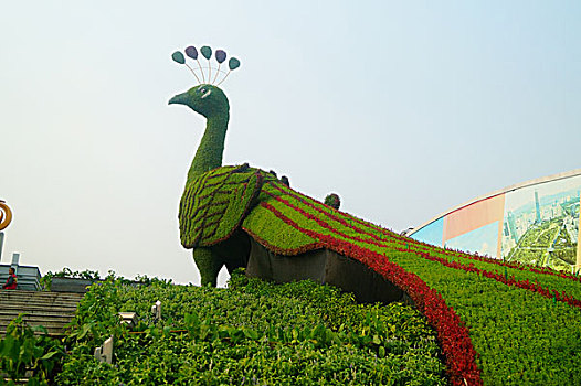 绿雕孔雀