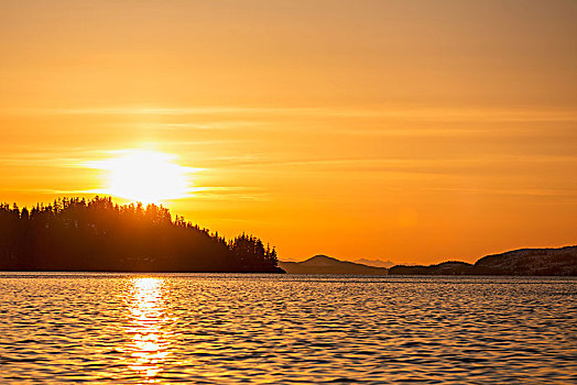 夕阳,剪影,树林,脊,半岛,威廉王子湾,阿拉斯加,美国