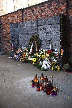 波兰,奥斯威辛,二战,集中营,世界遗产,花,场所