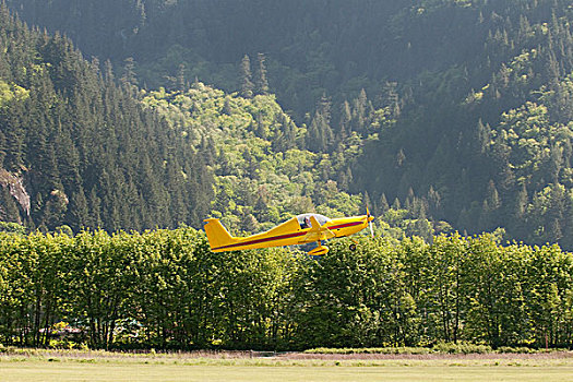黄色,飞机,起飞,不列颠哥伦比亚省,加拿大