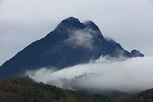 五指山风光