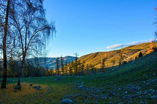 西北第一村白哈巴金秋盛景