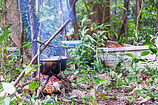 营火,烹调,亚马逊河
