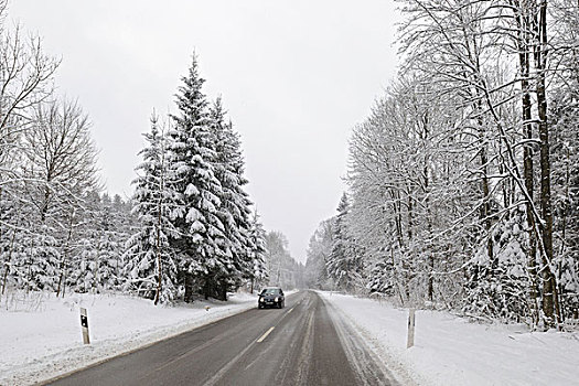 道路,木头,冬天,巴登符腾堡,德国,欧洲