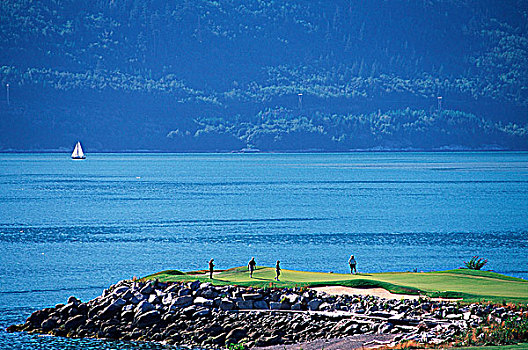 毛皮,溪流,高尔夫球场,远眺,声音,不列颠哥伦比亚省,加拿大
