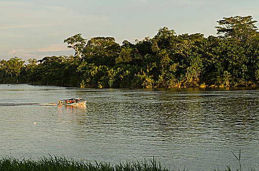 快艇,河,亚马逊雨林,厄瓜多尔,南美