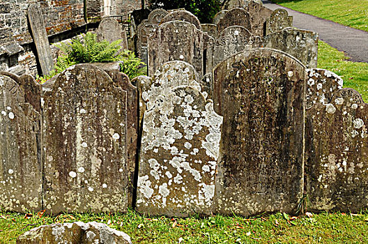墓石,约会,19世纪,世纪,墓地,教堂,德文郡,英格兰,英国,欧洲