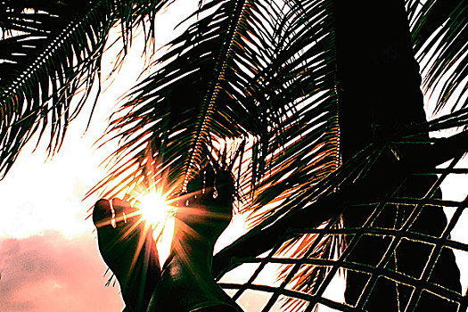 毛里求斯,特写,脚,吊床,棕榈树,太阳