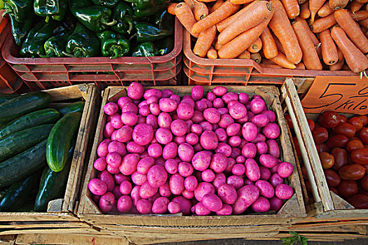 紫色,土豆,户外市场,巴兹瓜罗,米却阿肯州,墨西哥