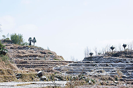 冬日小景