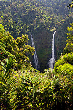 瀑布,最高,老挝,高原