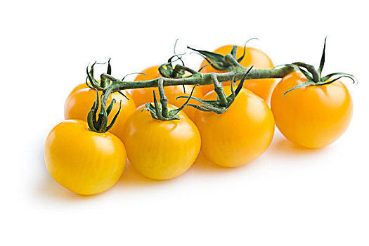 黄色西红柿