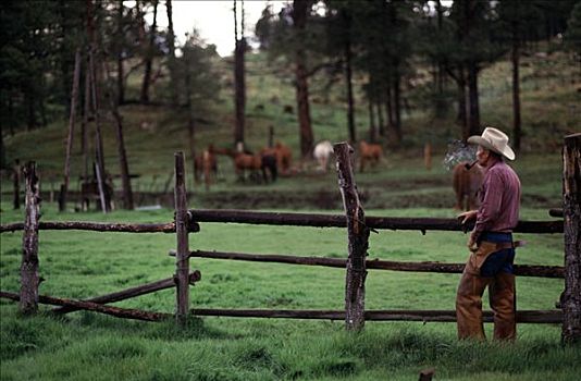 牛仔,站立,靠近,木篱,亚利桑那,美国