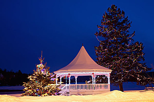 露台,树,装饰,圣诞节,北方,魁北克,加拿大