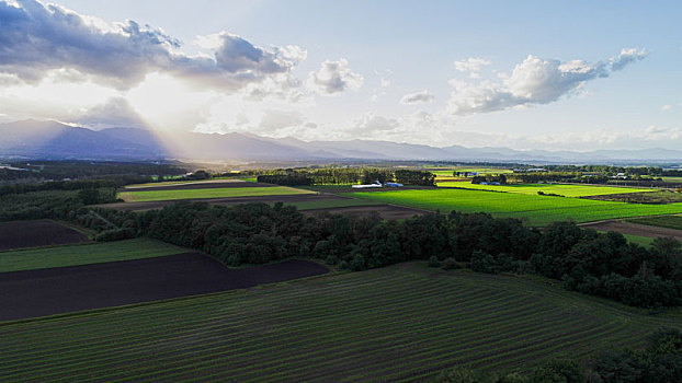 航拍,北海道,日本