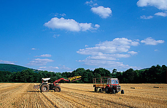 农事,稻草,大捆,收获,英格兰,英国,欧洲