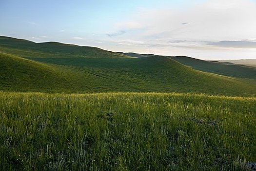 群山,日落,生态,保存,内蒙古,中国