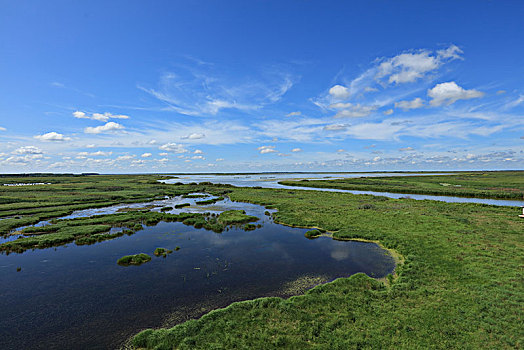 雁窝岛湿地