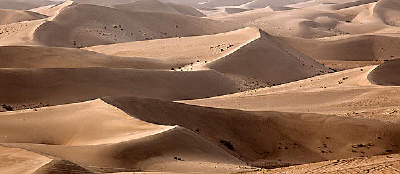 新疆,塔克拉玛干沙漠,沙漠公路,死亡之海