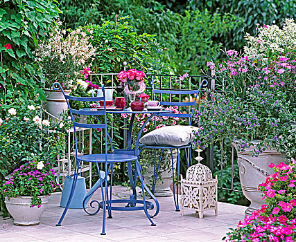 开花植物,粉色,玫瑰,白色,露台,精美,家具
