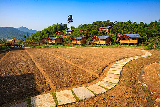 小木屋,草地,房子