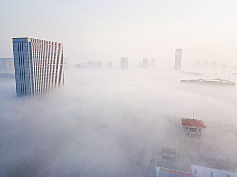 城市早晨的平流雾