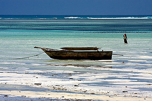 海滩,海草,马萨伊,船,坦桑尼亚,桑给巴尔岛