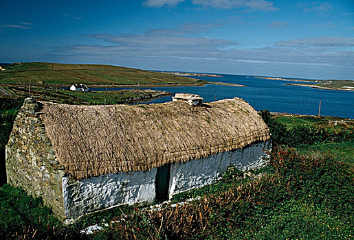 传统,茅草屋顶,屋舍,克利夫登,戈尔韦郡,爱尔兰