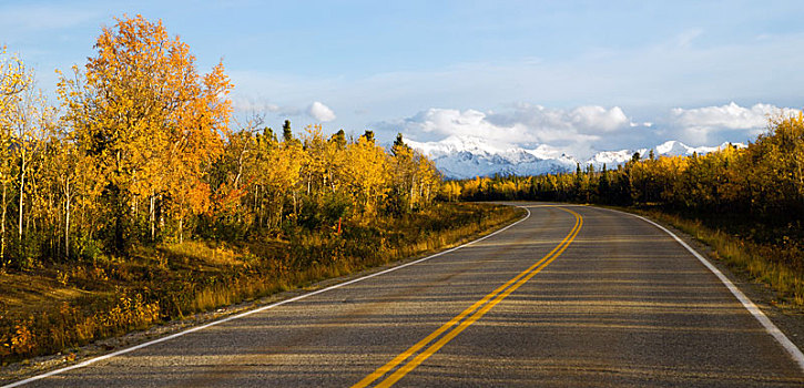 公路,顶峰,阿拉斯加山脉,秋天,秋季