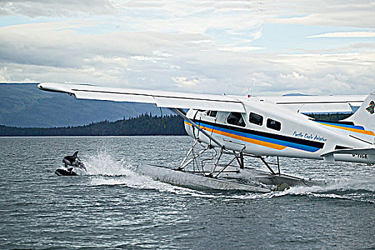 水上飞机,不列颠哥伦比亚省,加拿大