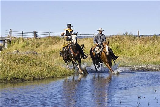 牛仔,骑,水中,俄勒冈,美国